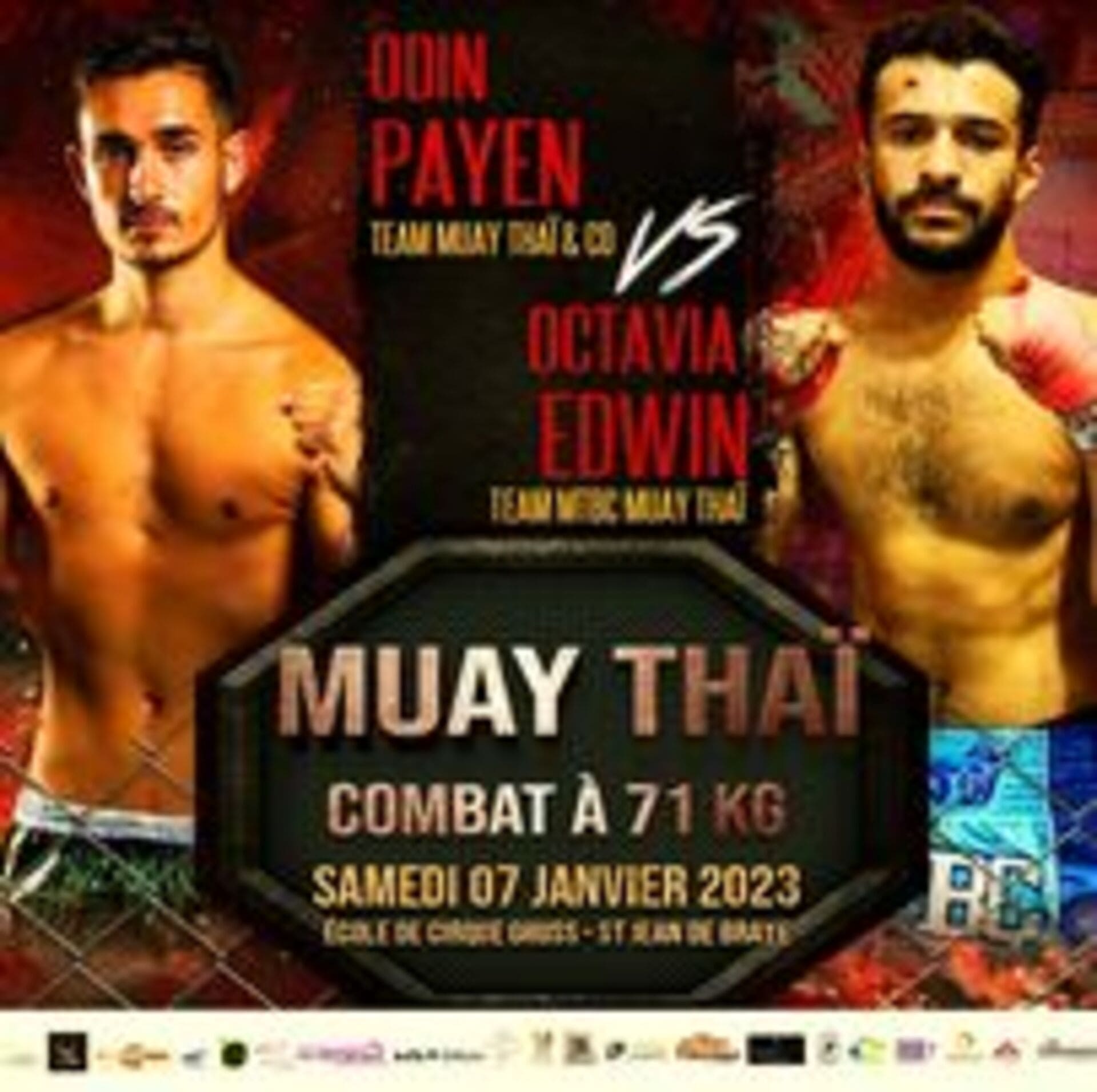 Payen VS Octavia